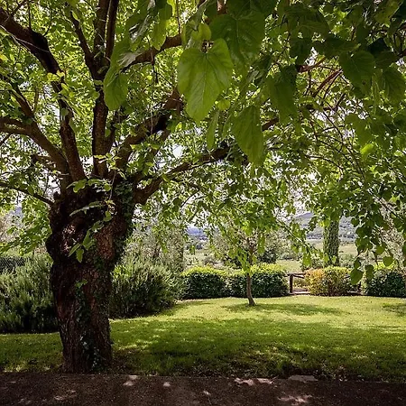 Sleeps 7 Pool Wifi Sant'enea